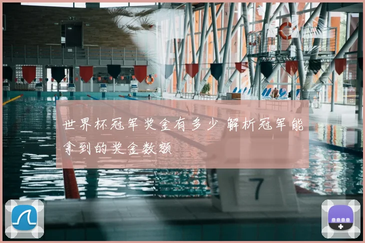 世界杯冠军奖金有多少 解析冠军能拿到的奖金数额