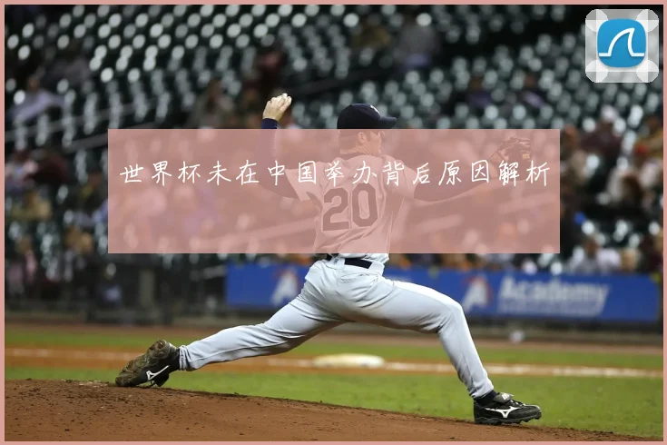 世界杯未在中国举办背后原因解析