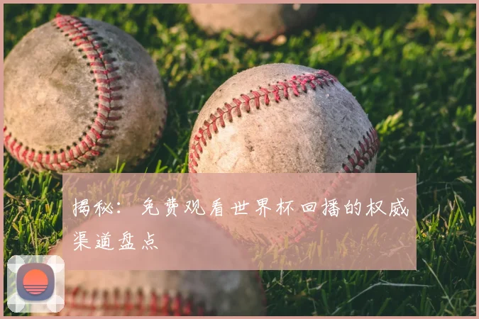 揭秘:免费观看世界杯回播的权威渠道盘点