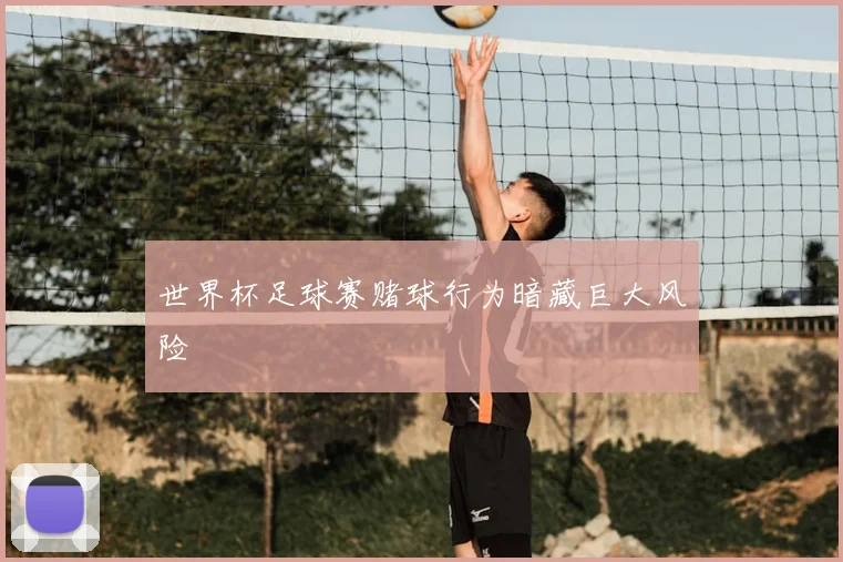 世界杯足球赛赌球行为暗藏巨大风险