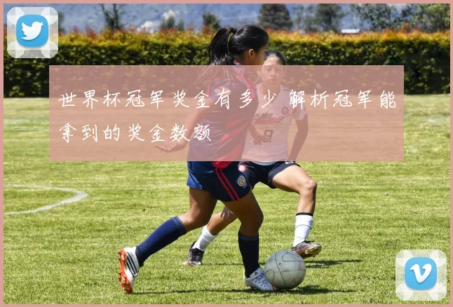 世界杯冠军奖金有多少 解析冠军能拿到的奖金数额