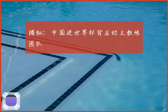 揭秘:中国进世界杯背后的主教练团队