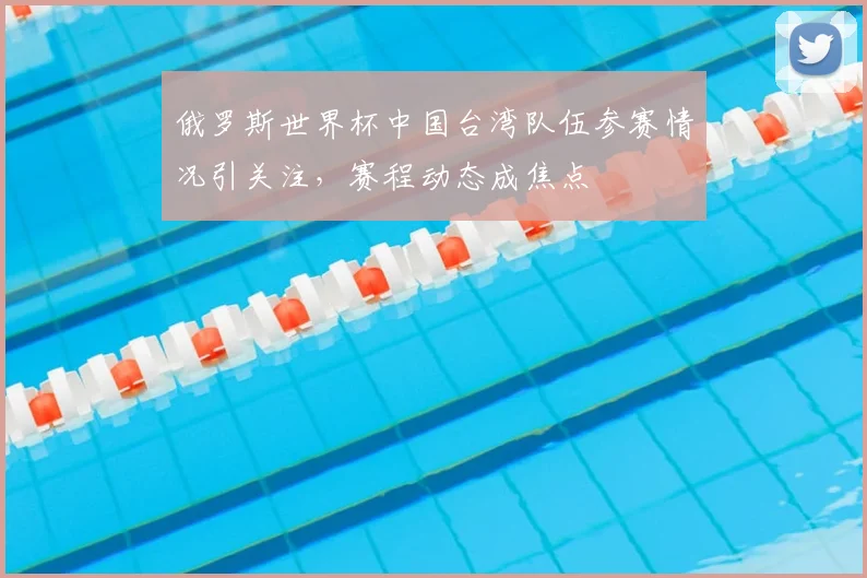 俄罗斯世界杯中国台湾队伍参赛情况引关注，赛程动态成焦点