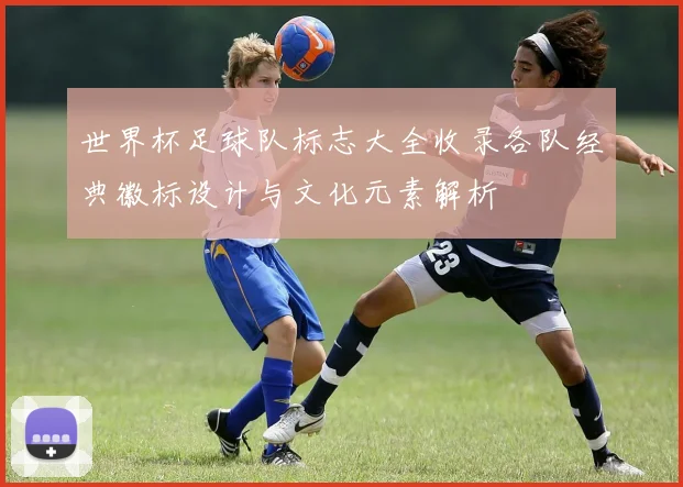 世界杯足球队标志大全收录各队经典徽标设计与文化元素解析
