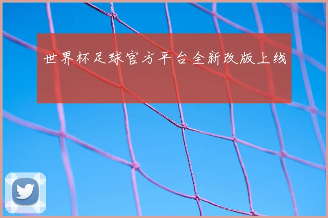 世界杯足球官方平台全新改版上线