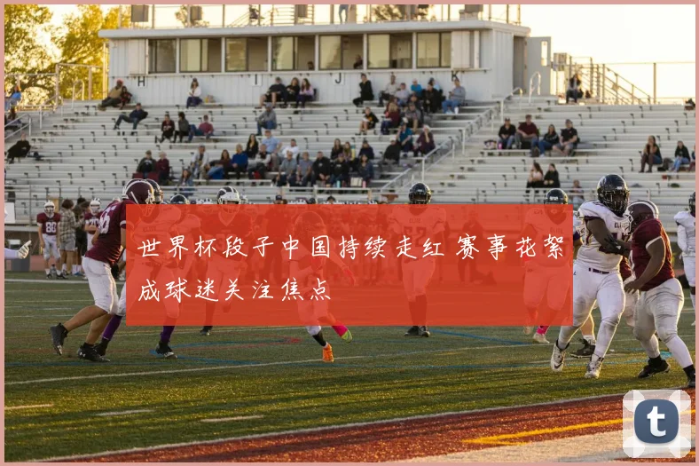 世界杯段子中国持续走红 赛事花絮成球迷关注焦点