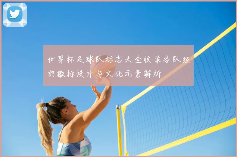 世界杯足球队标志大全收录各队经典徽标设计与文化元素解析
