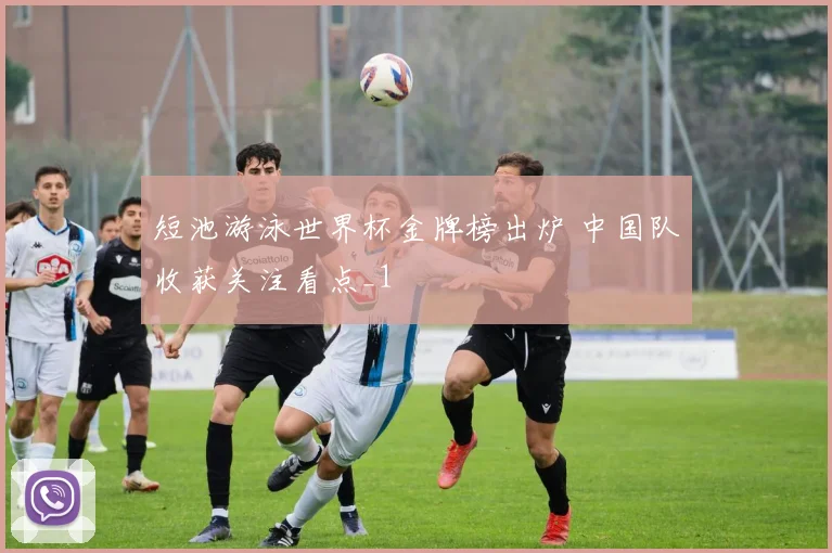 短池游泳世界杯金牌榜出炉 中国队收获关注看点_1