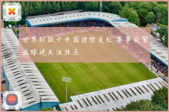 世界杯段子中国持续走红 赛事花絮成球迷关注焦点