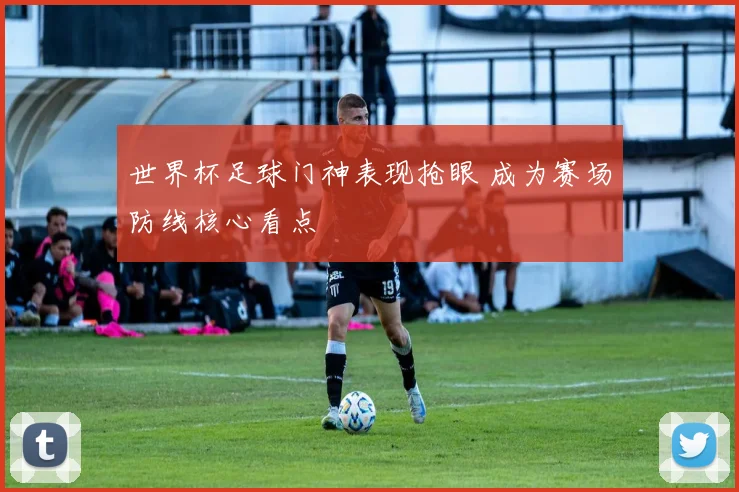 世界杯足球门神表现抢眼 成为赛场防线核心看点