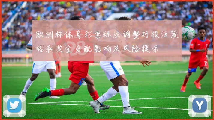 欧洲杯体育彩票玩法调整对投注策略和奖金分配影响及风险提示