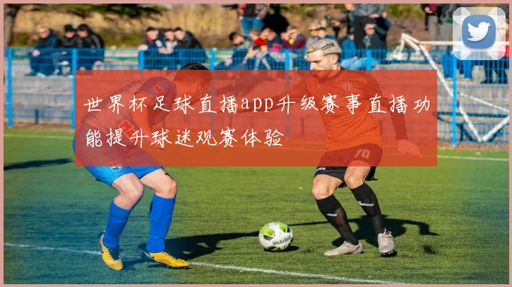 世界杯足球直播app升级赛事直播功能提升球迷观赛体验