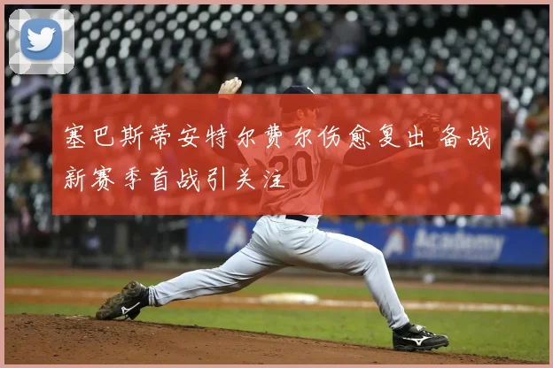 塞巴斯蒂安特尔费尔伤愈复出 备战新赛季首战引关注