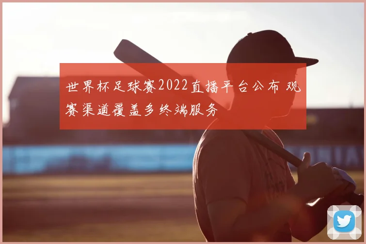 世界杯足球赛2022直播平台公布 观赛渠道覆盖多终端服务