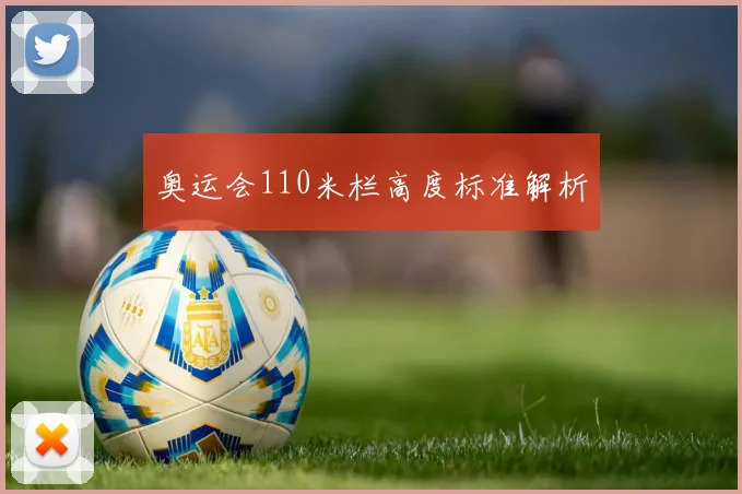 奥运会110米栏高度标准解析